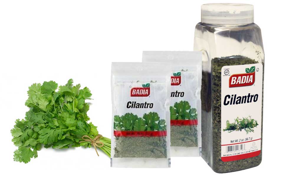 Cilantro