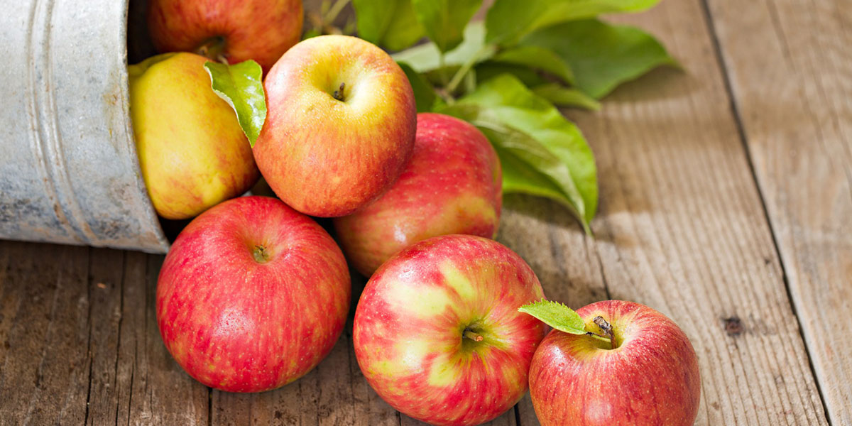 Manzana