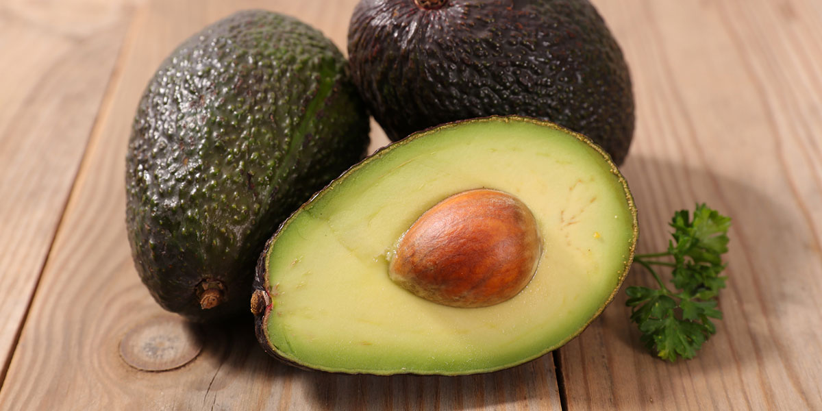 Palta